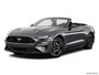 2019 Ford Mustang
                         Front medium view at Jasper Ford-Lincoln